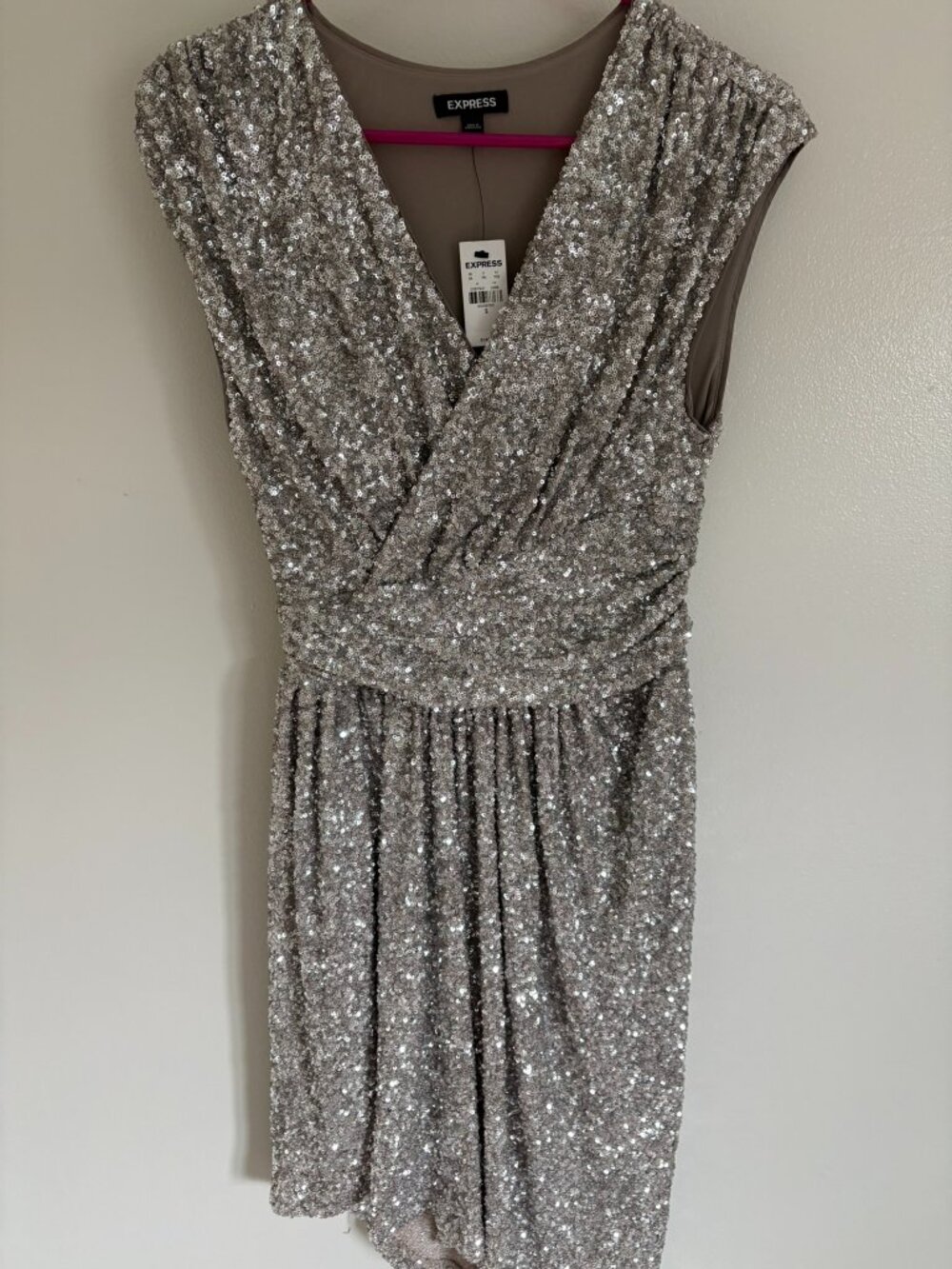 Silver Sequin Express Dress